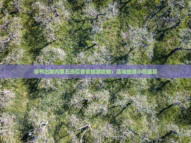 毕节出发内蒙五当召美食旅游攻略：品味地道小吃盛宴