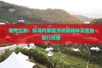 南充出发：探寻内蒙额济纳胡杨林深度自由行攻略