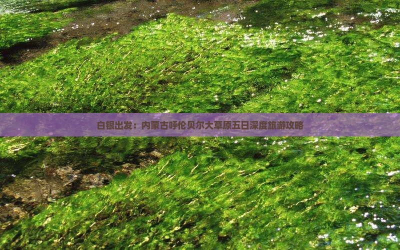 白银出发：内蒙古呼伦贝尔大草原五日深度旅游攻略