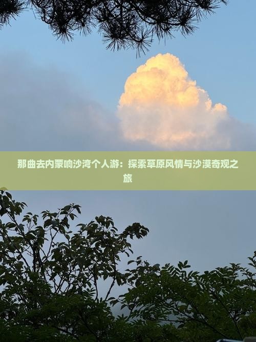 那曲去内蒙响沙湾个人游：探索草原风情与沙漠奇观之旅