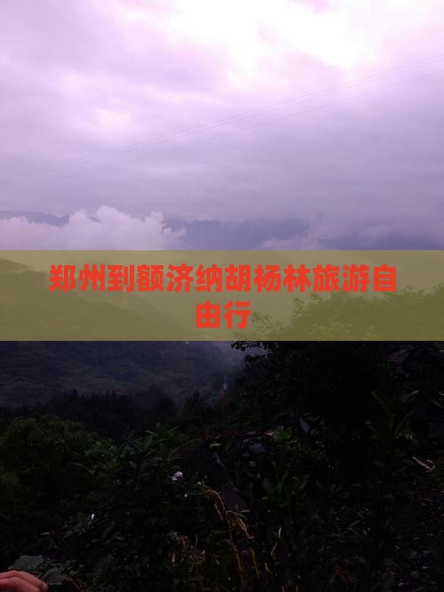 郑州到额济纳胡杨林旅游自由行