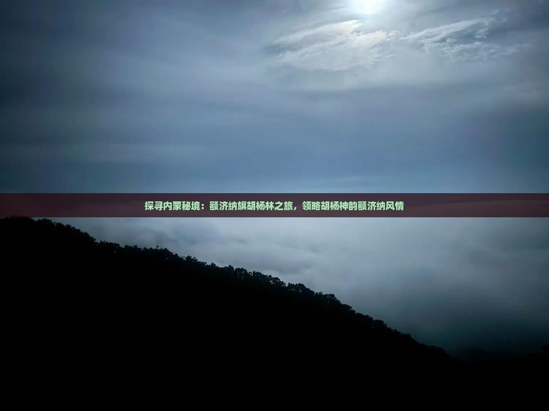 探寻内蒙秘境：额济纳旗胡杨林之旅，领略胡杨神韵额济纳风情