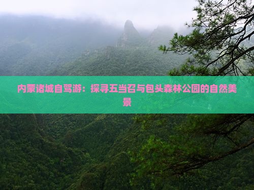 内蒙诸城自驾游：探寻五当召与包头森林公园的自然美景