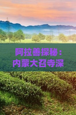 阿拉善探秘：内蒙大召寺深度旅游团