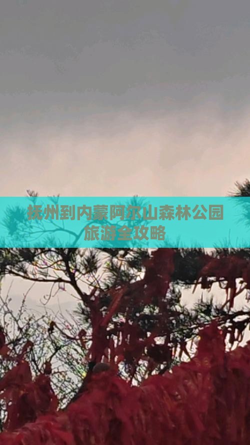 抚州到内蒙阿尔山森林公园旅游全攻略
