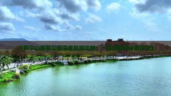 《阿尔山森林公园深度旅游攻略：一日游森林秘境探险》