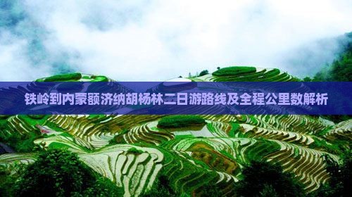 铁岭到内蒙额济纳胡杨林二日游路线及全程公里数解析