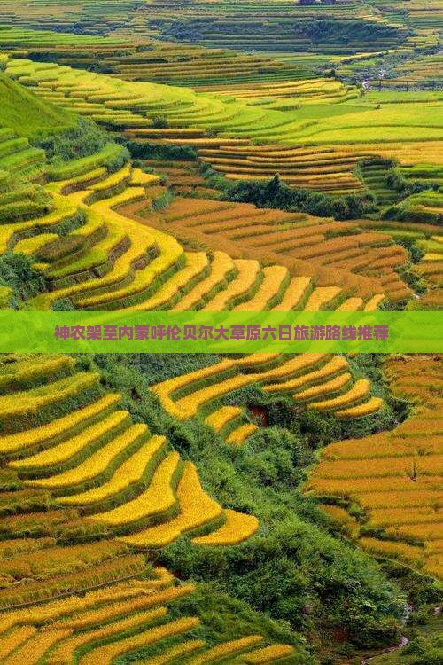 神农架至内蒙呼伦贝尔大草原六日旅游路线推荐