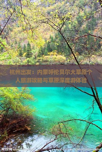 杭州出发：内蒙呼伦贝尔大草原个人旅游攻略与草原深度游体验