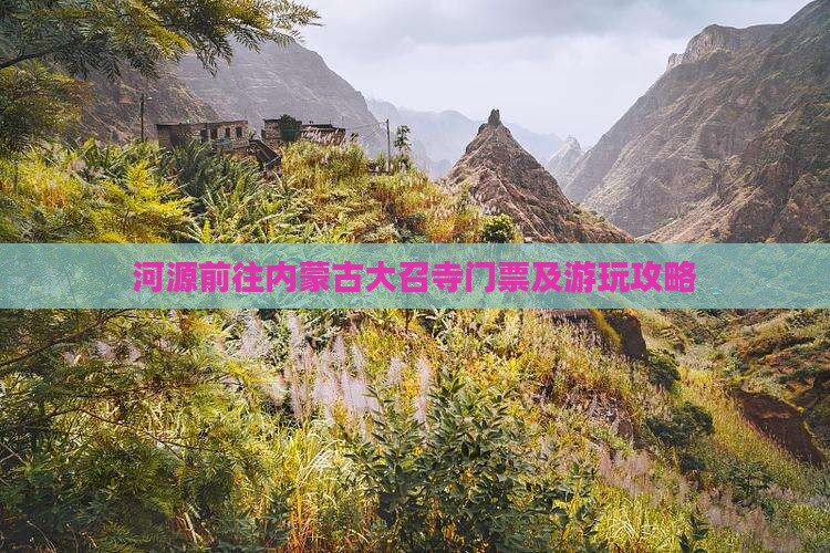 河源前往内蒙古大召寺门票及游玩攻略