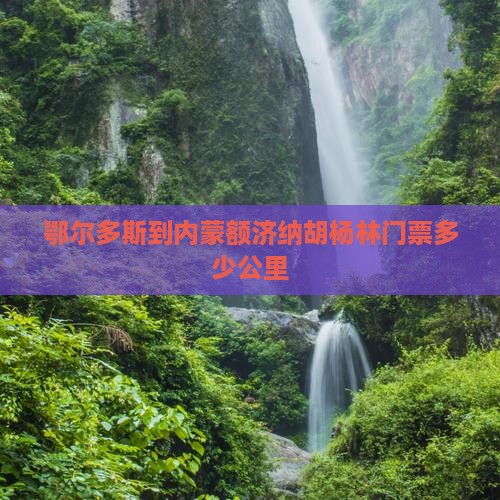 鄂尔多斯到内蒙额济纳胡杨林门票多少公里