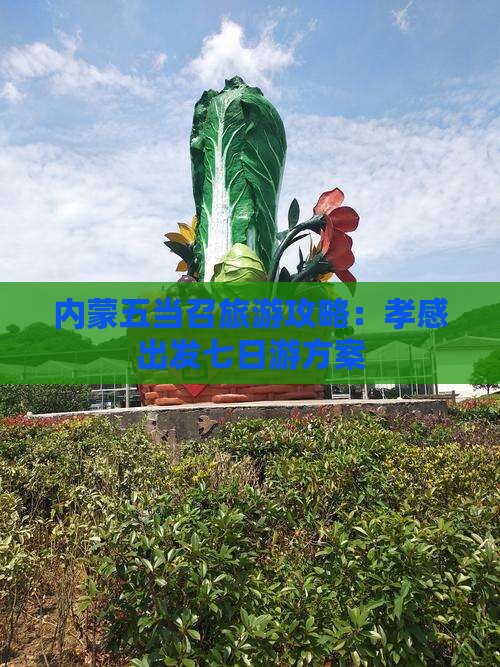 内蒙五当召旅游攻略：孝感出发七日游方案