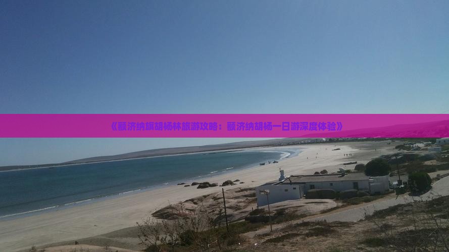 《额济纳旗胡杨林旅游攻略：额济纳胡杨一日游深度体验》