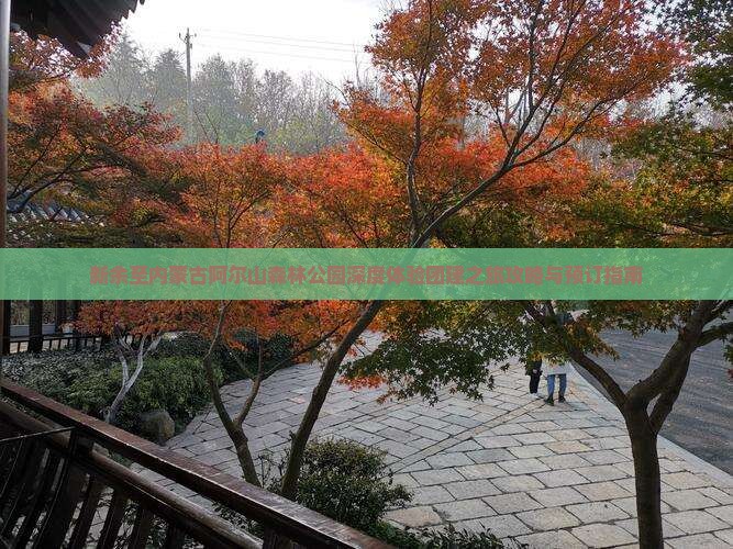 新余至内蒙古阿尔山森林公园深度体验团建之旅攻略与预订指南