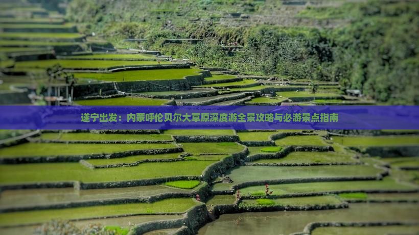 遂宁出发：内蒙呼伦贝尔大草原深度游全景攻略与必游景点指南