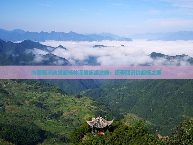 内蒙额济纳旗胡杨林深度旅游攻略：探寻额济纳胡杨之美