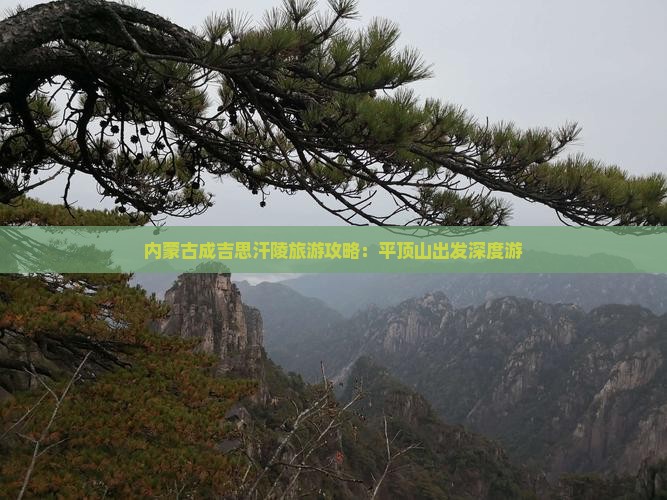 内蒙古成吉思汗陵旅游攻略：平顶山出发深度游