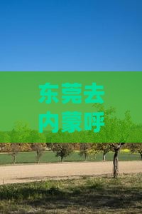 东莞去内蒙呼伦贝尔大草原门票价格