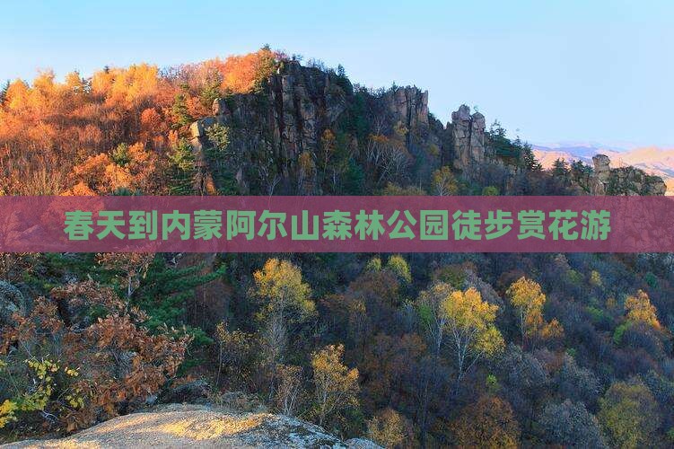 春天到内蒙阿尔山森林公园徒步赏花游