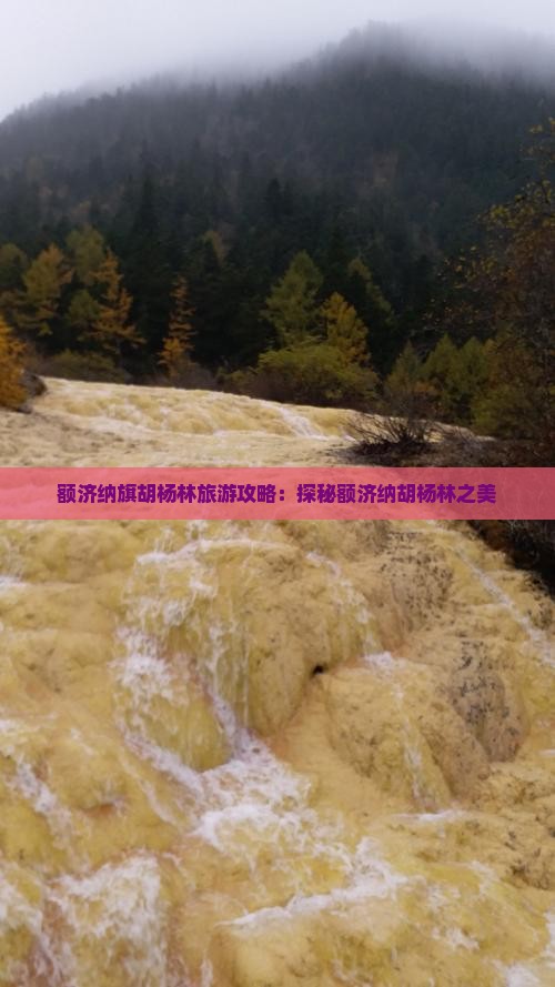 额济纳旗胡杨林旅游攻略：探秘额济纳胡杨林之美