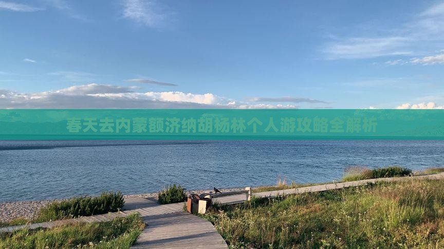 春天去内蒙额济纳胡杨林个人游攻略全解析