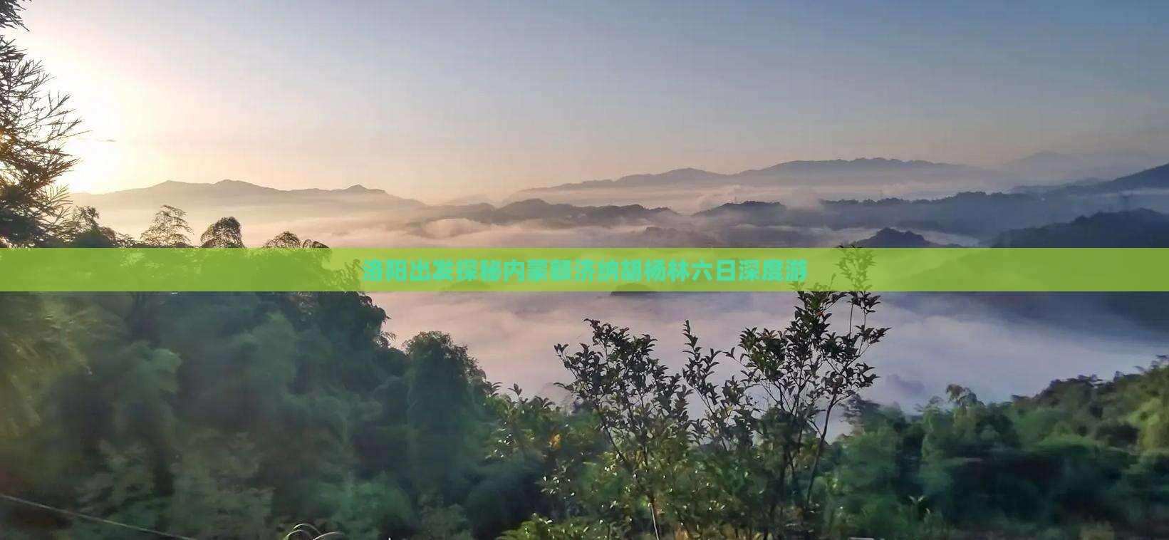 洛阳出发探秘内蒙额济纳胡杨林六日深度游 洛阳出发探秘内蒙额济纳胡杨林六日深度游