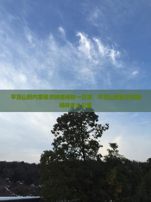 平顶山到内蒙额济纳胡杨林一日游，平顶山到额济纳胡杨林多少公里