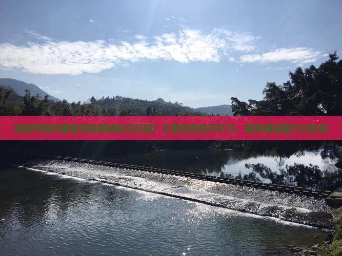 张家界到内蒙额济纳胡杨林三日游？大西北秋色不打卡，错失朋友圈大片机会