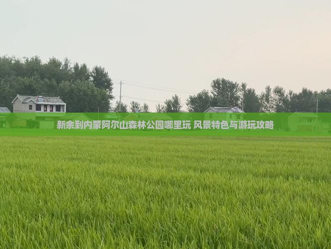 新余到内蒙阿尔山森林公园哪里玩 风景特色与游玩攻略