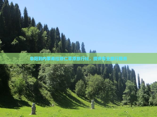 阜阳到内蒙希拉穆仁草原旅行社，提供专业旅行服务