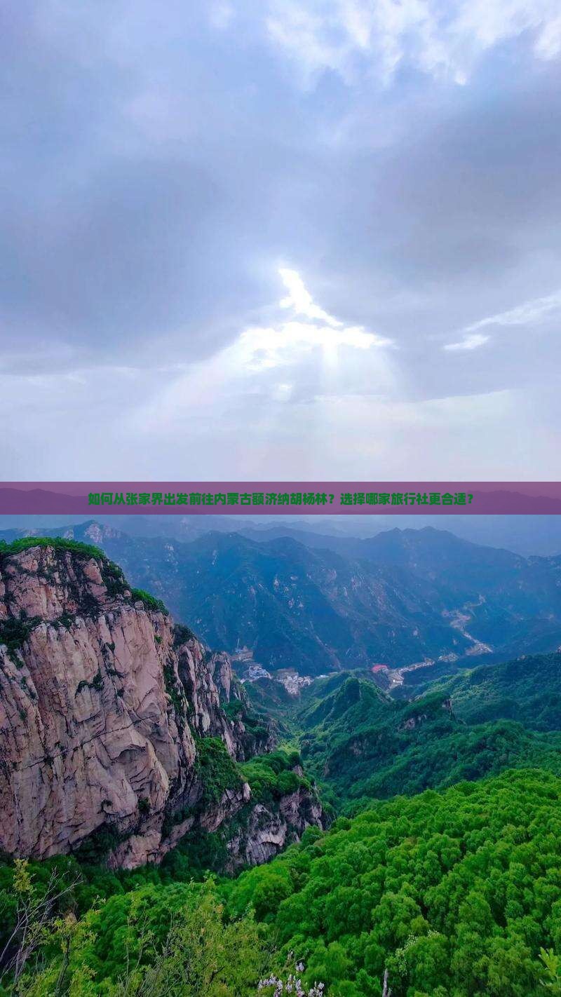 如何从张家界出发前往内蒙古额济纳胡杨林？选择哪家旅行社更合适？