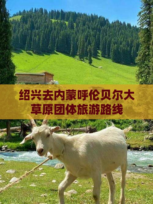 绍兴去内蒙呼伦贝尔大草原团体旅游路线