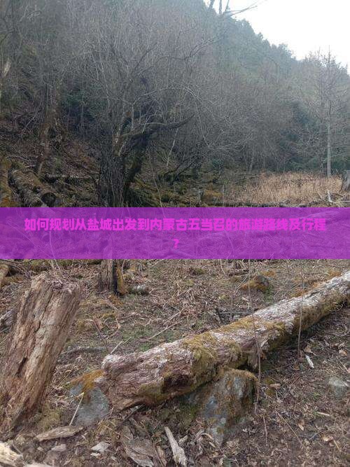 如何规划从盐城出发到内蒙古五当召的旅游路线及行程？