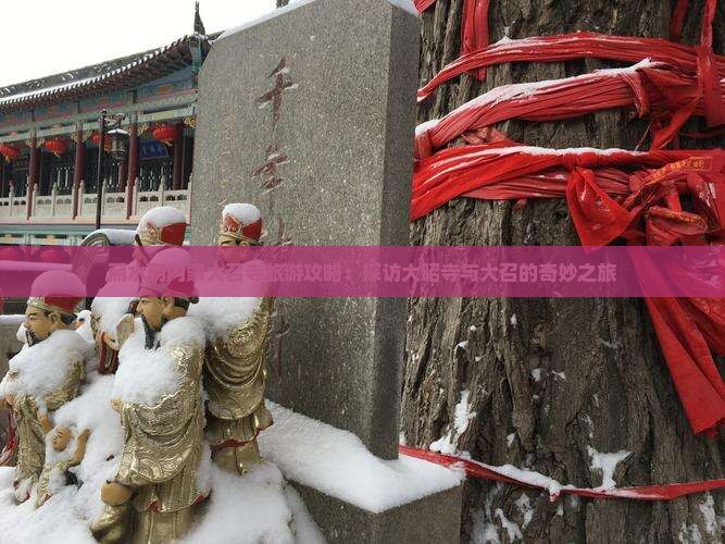 丽水到内蒙大召寺旅游攻略：探访大昭寺与大召的奇妙之旅