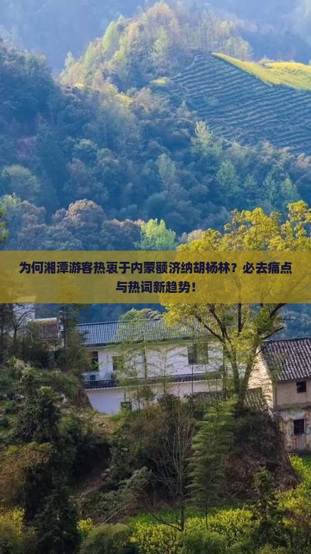 为何湘潭游客热衷于内蒙额济纳胡杨林？必去痛点与热词新趋势！