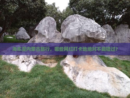 海东至内蒙古旅行，哪些网红打卡地绝对不能错过？