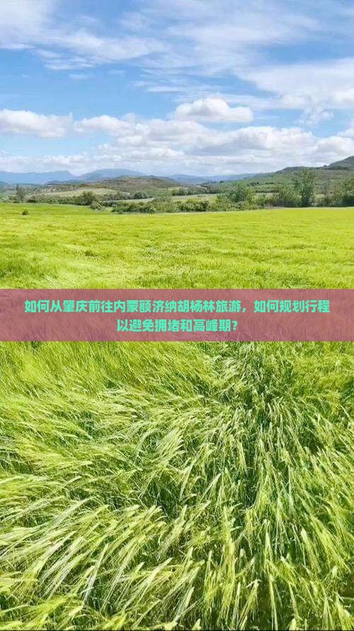 如何从肇庆前往内蒙额济纳胡杨林旅游，如何规划行程以避免拥堵和高峰期？