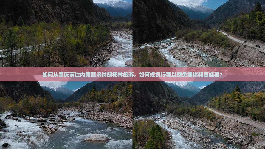 如何从肇庆前往内蒙额济纳胡杨林旅游，如何规划行程以避免拥堵和高峰期？
