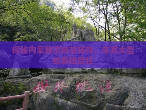 探秘内蒙额济纳胡杨林，来宾大型旅游团启程