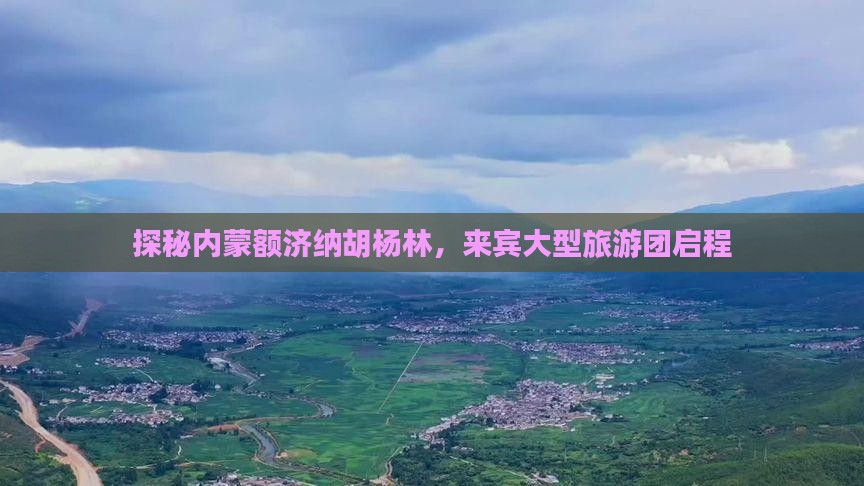 探秘内蒙额济纳胡杨林，来宾大型旅游团启程