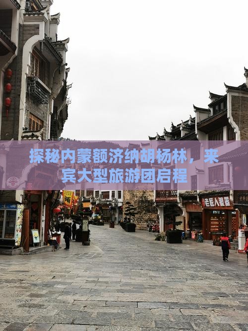 探秘内蒙额济纳胡杨林，来宾大型旅游团启程