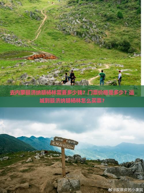 去内蒙额济纳胡杨林需要多少钱？门票价格是多少？运城到额济纳胡杨林怎么买票？