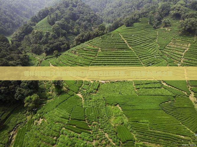 锡林郭勒盟大型旅游团畅游内蒙古拉穆草原，领略蒙古风情之旅