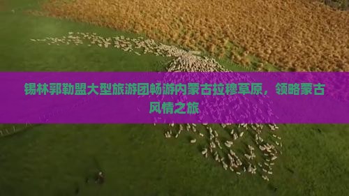 锡林郭勒盟大型旅游团畅游内蒙古拉穆草原，领略蒙古风情之旅
