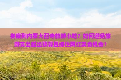 娄底到内蒙大召寺旅游小吃？如何避免旅游支出超出预算且抓住网红美食机会？