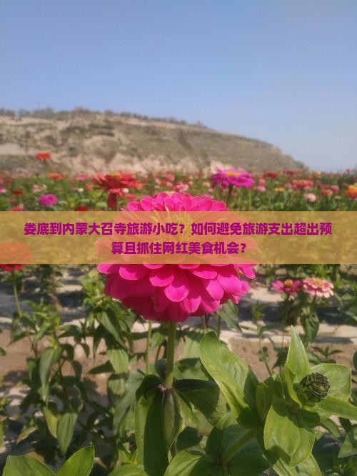 娄底到内蒙大召寺旅游小吃？如何避免旅游支出超出预算且抓住网红美食机会？