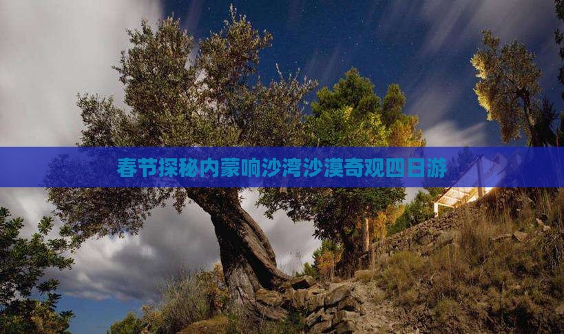 春节探秘内蒙响沙湾沙漠奇观四日游