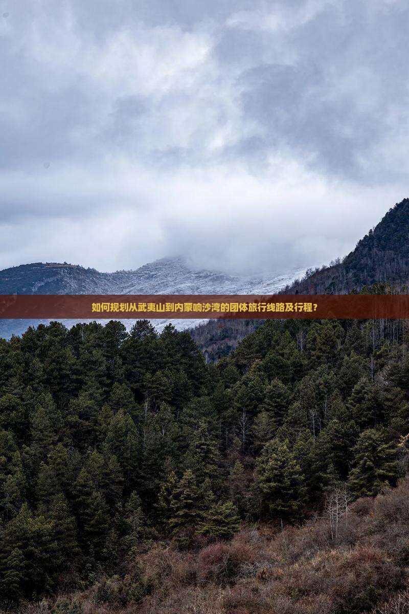 如何规划从武夷山到内蒙响沙湾的团体旅行线路及行程？