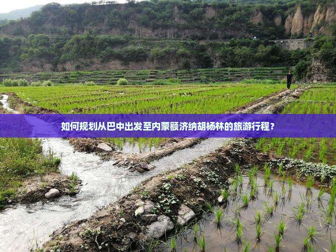 如何规划从巴中出发至内蒙额济纳胡杨林的旅游行程？