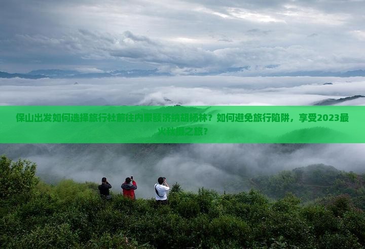 保山出发如何选择旅行社前往内蒙额济纳胡杨林？如何避免旅行陷阱，享受2023最火秋摄之旅？